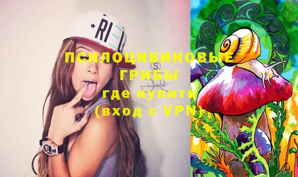 винт Алзамай