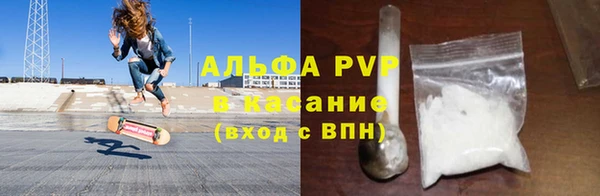 винт Алзамай