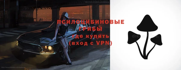 прущие грибы Алексеевка