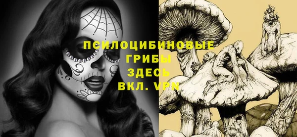 винт Алзамай