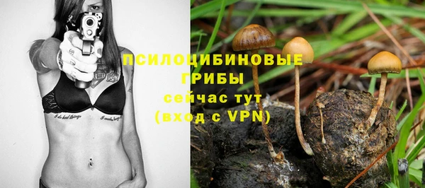 соль ск Абдулино