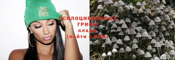 винт Алзамай