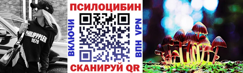 ссылка на мегу ONION  купить   Астрахань  Галлюциногенные грибы Cubensis 